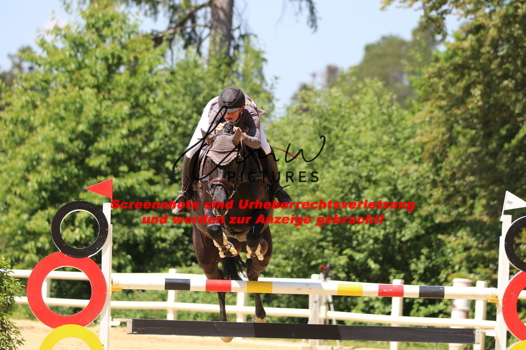 IMG_2358 | lmwpictures - Realisiert mit Pictrs.com