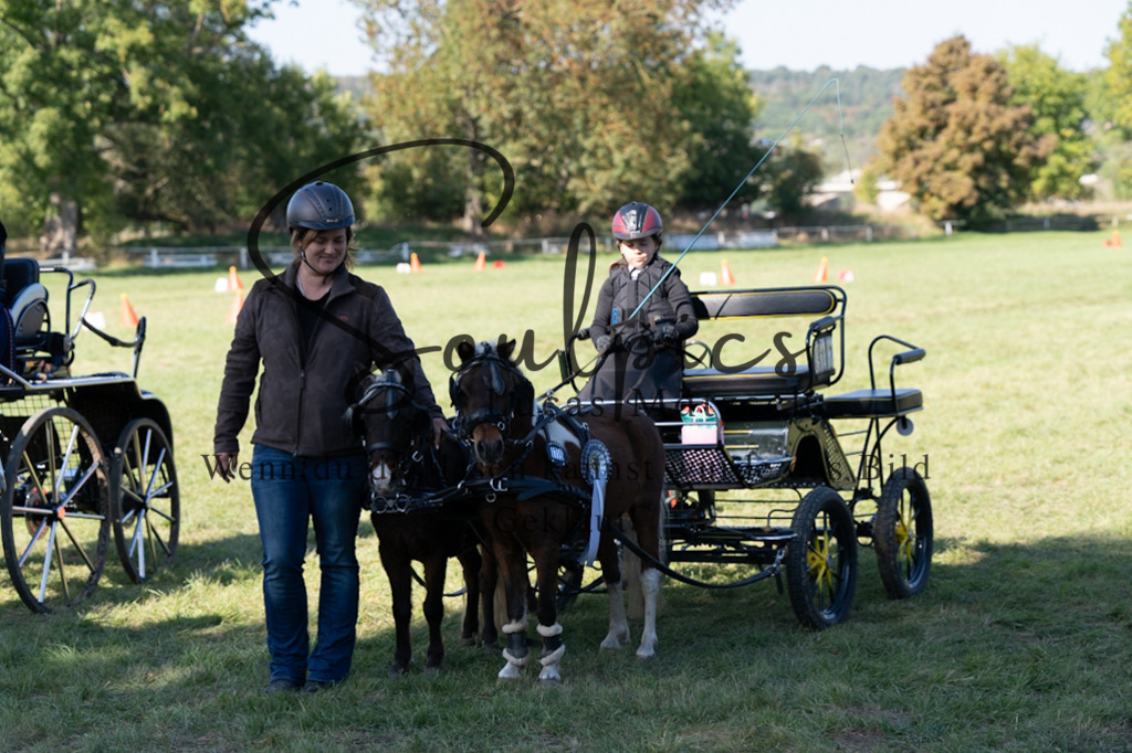 A7V04426 | Pferdefotograf