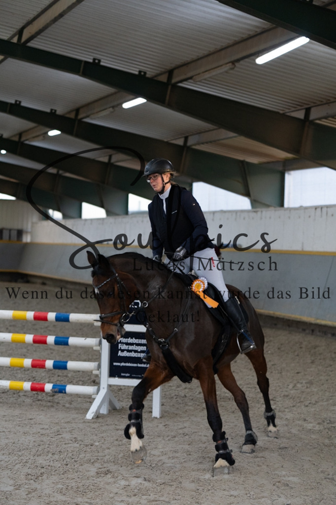 A7V02873 | Pferdefotograf