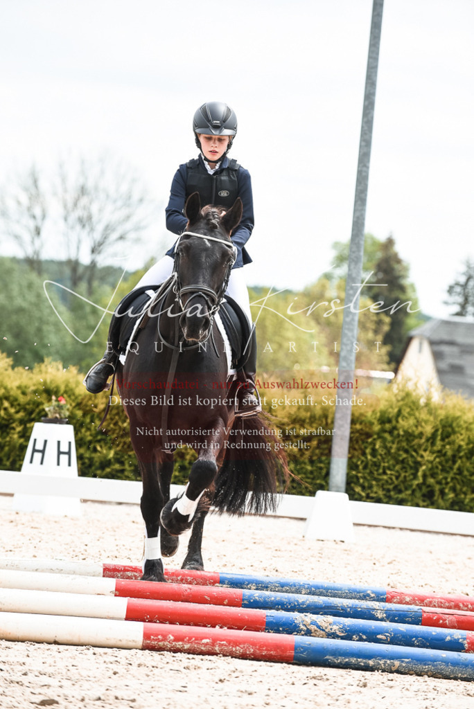20230518_JK-Röhrsdorf-10-746 | Pferde- und Turnierfotografie in Westsachsen. Pferdeportraits, Auftragszeichnungen und intuitive Kunst.