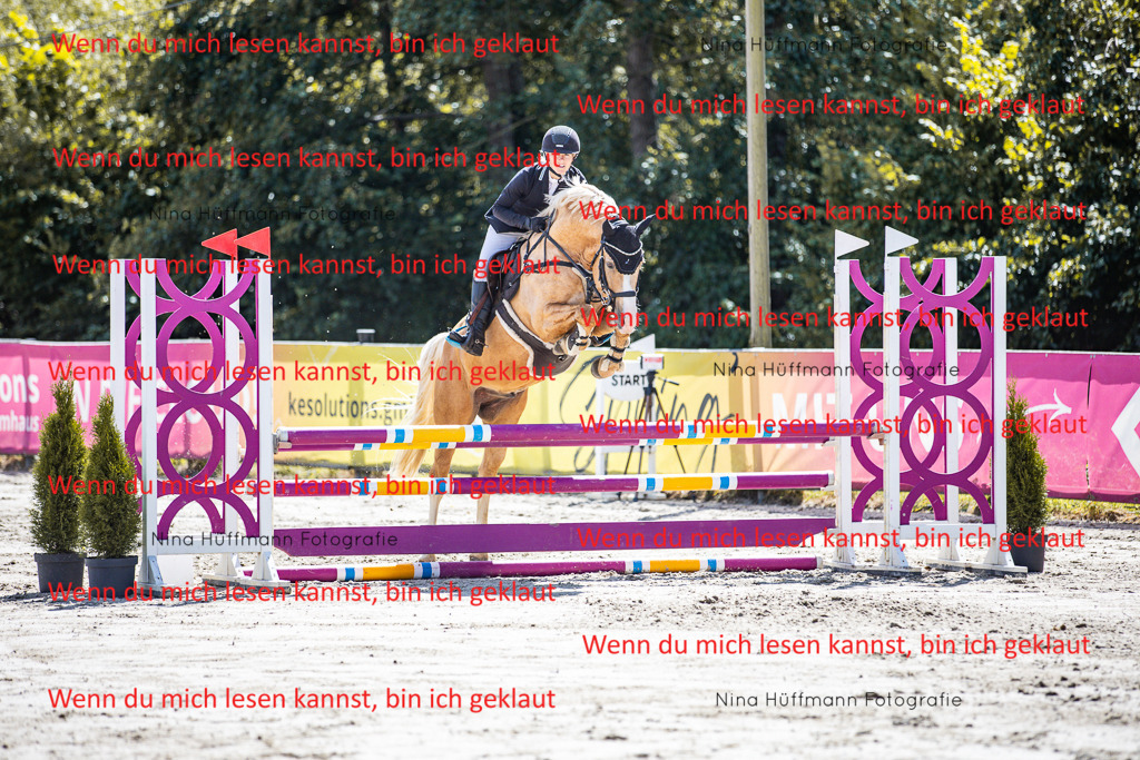 BK1A5178 | Turnierbilder Turnierfotos Nina Hüffmann Turnierfotografie Pferdefotografie Tierzeichnung Haustierzeichnung Pferdezeichnung Hundezeichnung Videograf  - Realisiert mit Pictrs.com