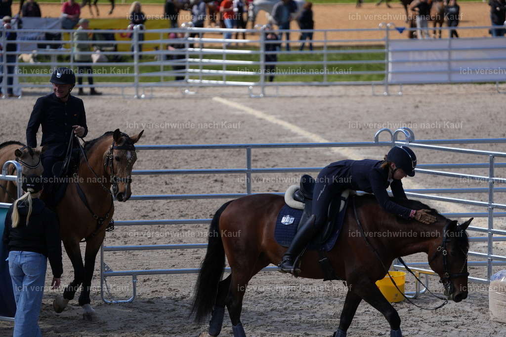 PI26_GesamtCOW_JansPictures_7C_09991.JPG | working equitationturnier fotograf videograf stoibphotography marixx film working equitation deutschland reitsport turnierfotografie eventfotografie equestrian events
