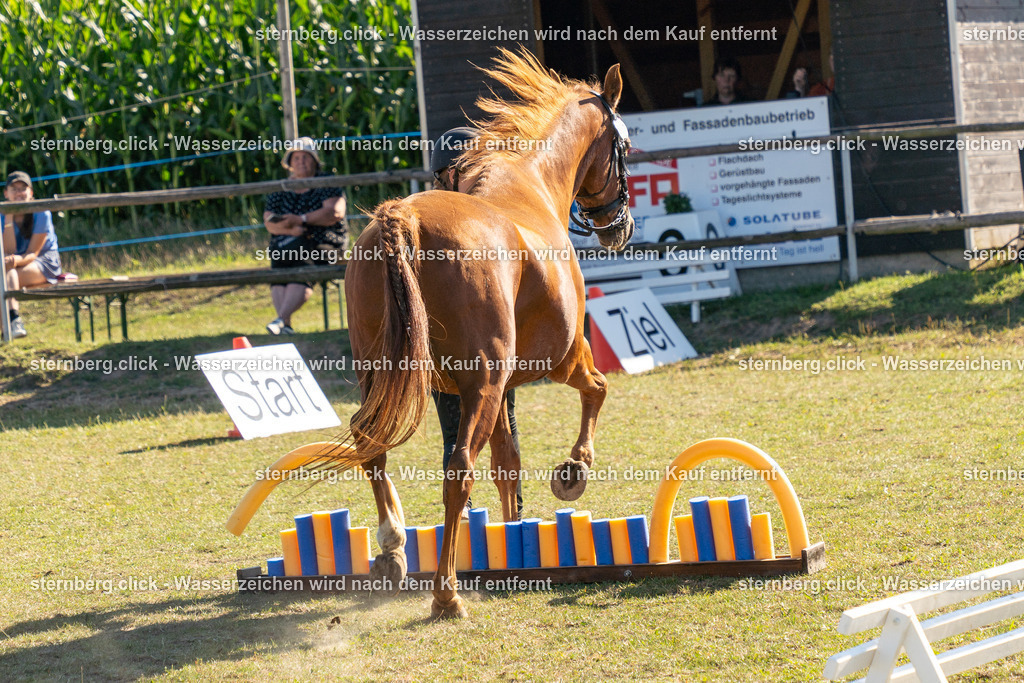 2026-08-08_15-52-15_WBO_Pulsnitz | sternberg.click - Realisiert mit Pictrs.com