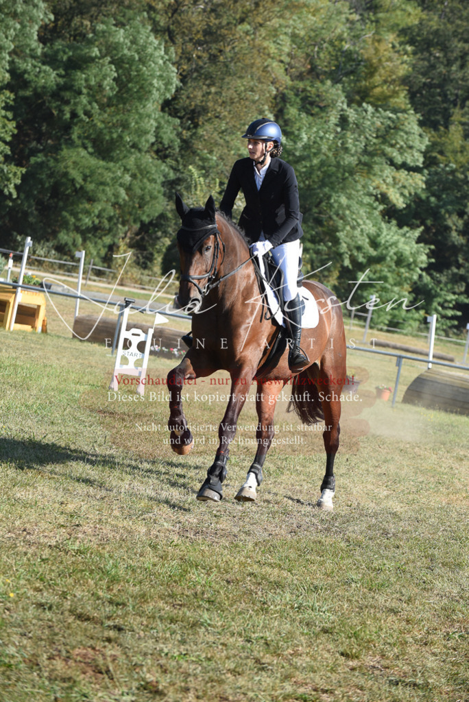 DSC_5410 | Pferde- und Turnierfotografie in Westsachsen. Pferdeportraits, Auftragszeichnungen und intuitive Kunst.