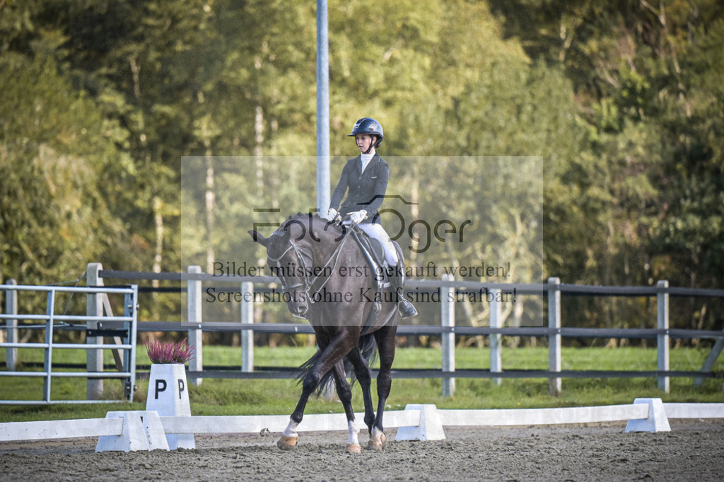 DOS_4285 | Entdecke hochwertige Reitturnierfotos von Foto Oger. Professionell, emotional und authentisch – jetzt Lieblingsmomente im Shop bestellen.Deutschlandweite Turnierfotografie. - Realisiert mit Pictrs.com
