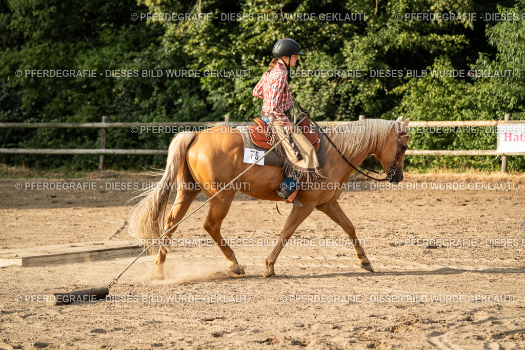 DSC06121 | Pferdegrafie