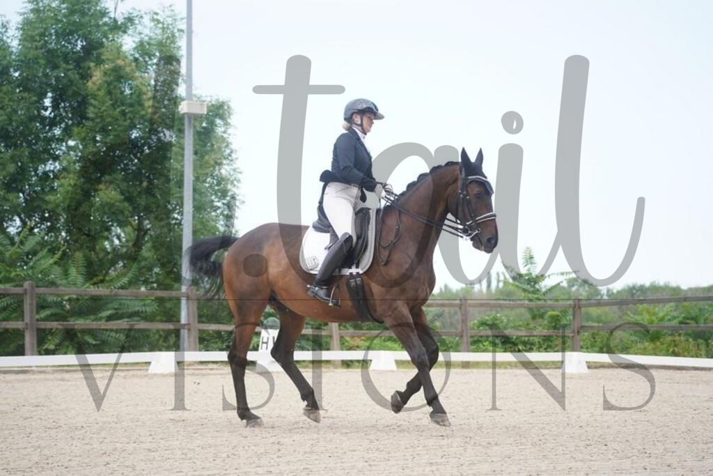 tbhsamstag (502) | d.tail Visions - Shop - Realisiert mit Pictrs.com