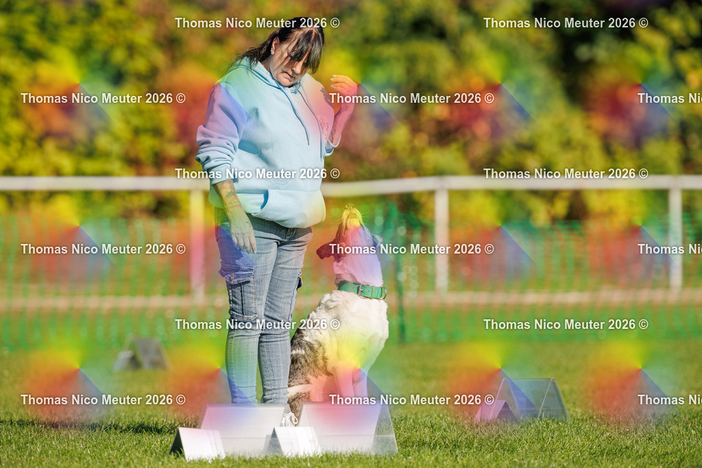 Thomas_Nico_Meuter(C)_04. Oktober 2026_223A1129 | Bild von Thomas Nico Meuter - Realisiert mit Pictrs.com