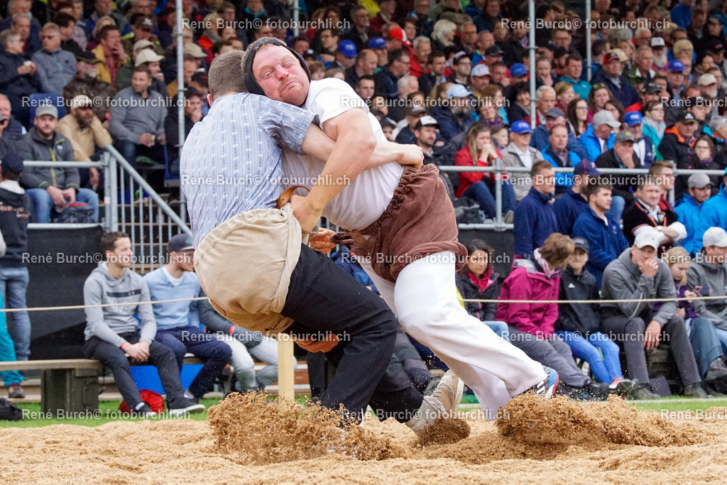 _DSC0589 | René Burch leidenschaftlicher Fotograf aus Kerns in Obwalden.  Hier finden sie Sport, Landschaft und Natur Fotografie.
 - Realisiert mit Pictrs.com