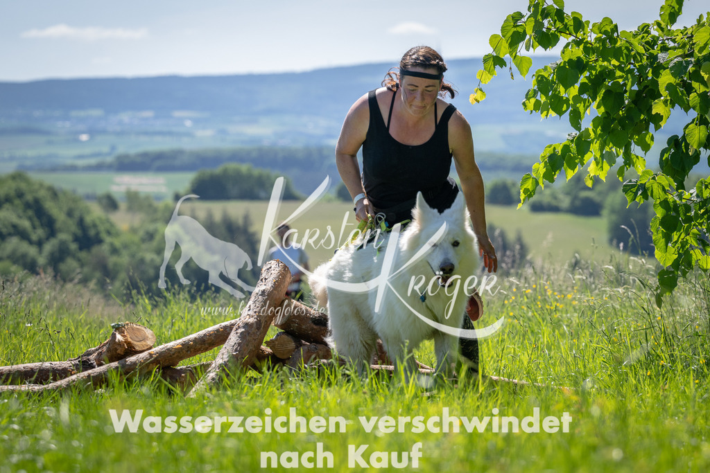 1045_ZZ93684 | kk-dogfotos