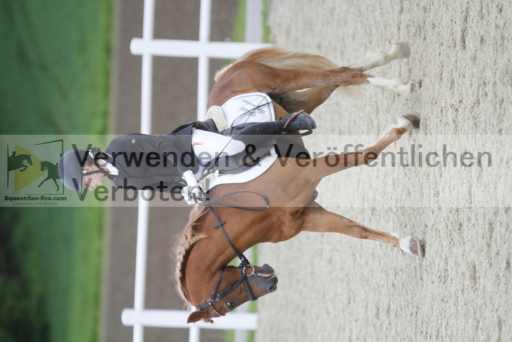 _MG_0901 | equestrian-live-com