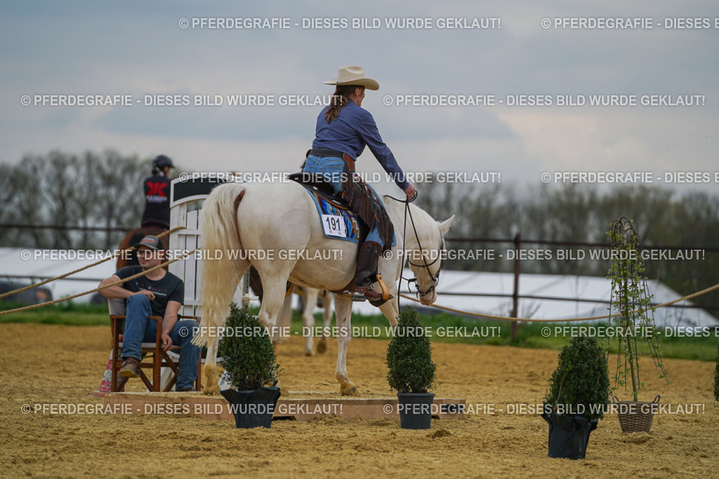 DSC07473 | Pferdegrafie