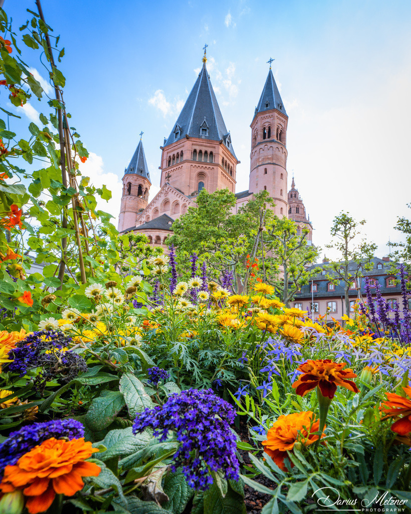 _DSC0567 | Fotografien, Fotos und Bilder aus Mainz, Frankfurt, Wiesbaden und anderen Orten auf der Welt - Fotografiert von Darius Metzner