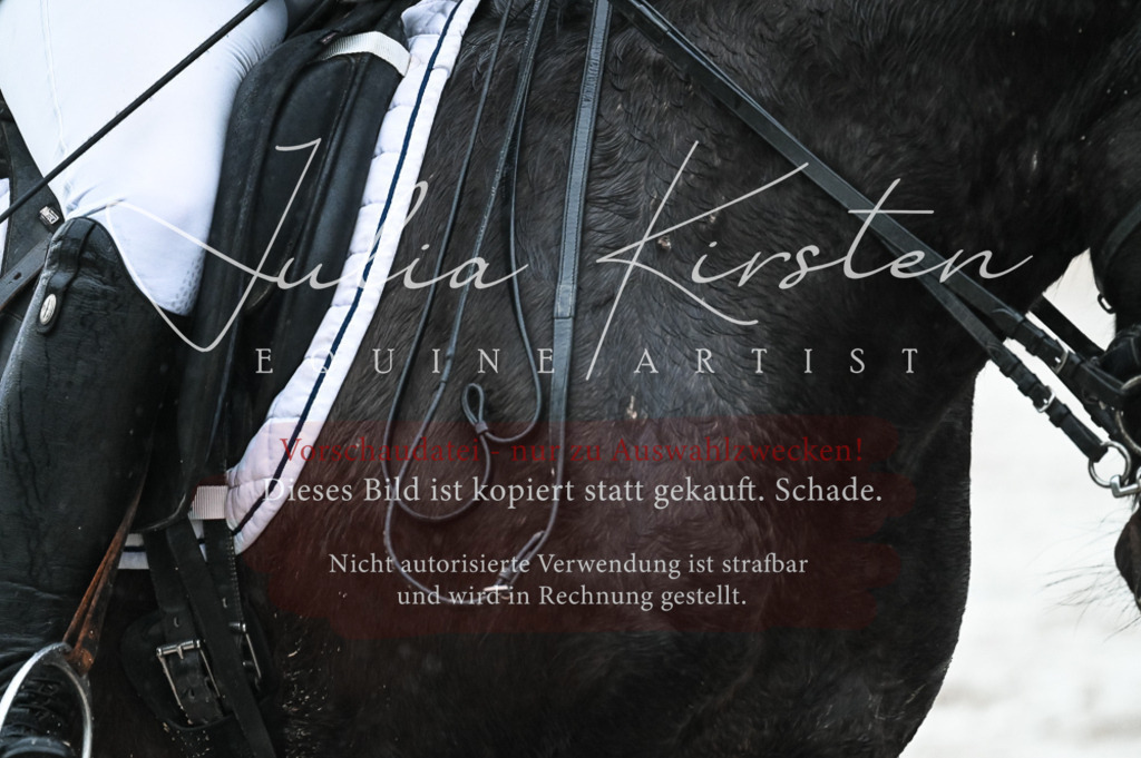 DSC_4653 | Pferde- und Turnierfotografie in Westsachsen. Pferdeportraits, Auftragszeichnungen und intuitive Kunst.