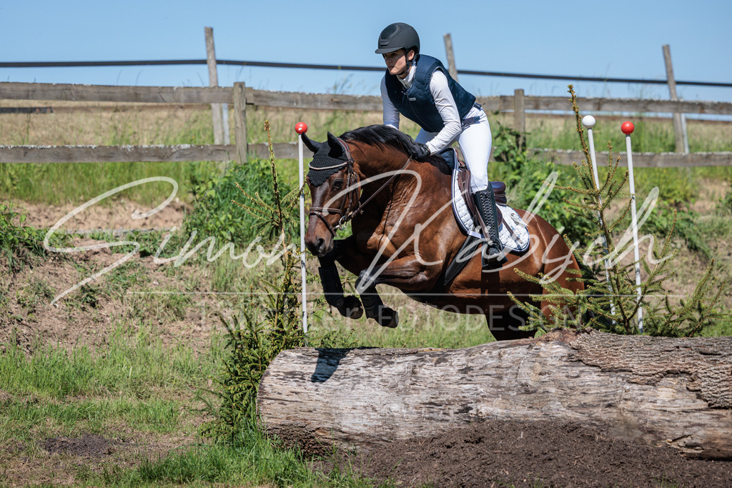 20260523-_3LI7373 | Tierfotografie Pferde, Hunde, Katzen, Haustiere.
Turnierfotografie Reitturniere, Reiten, Springreiten, Dressur in Hanau, dem Main-Kinzig-Kreis und dem Rhein-Main- Gebiet um Frankfurt