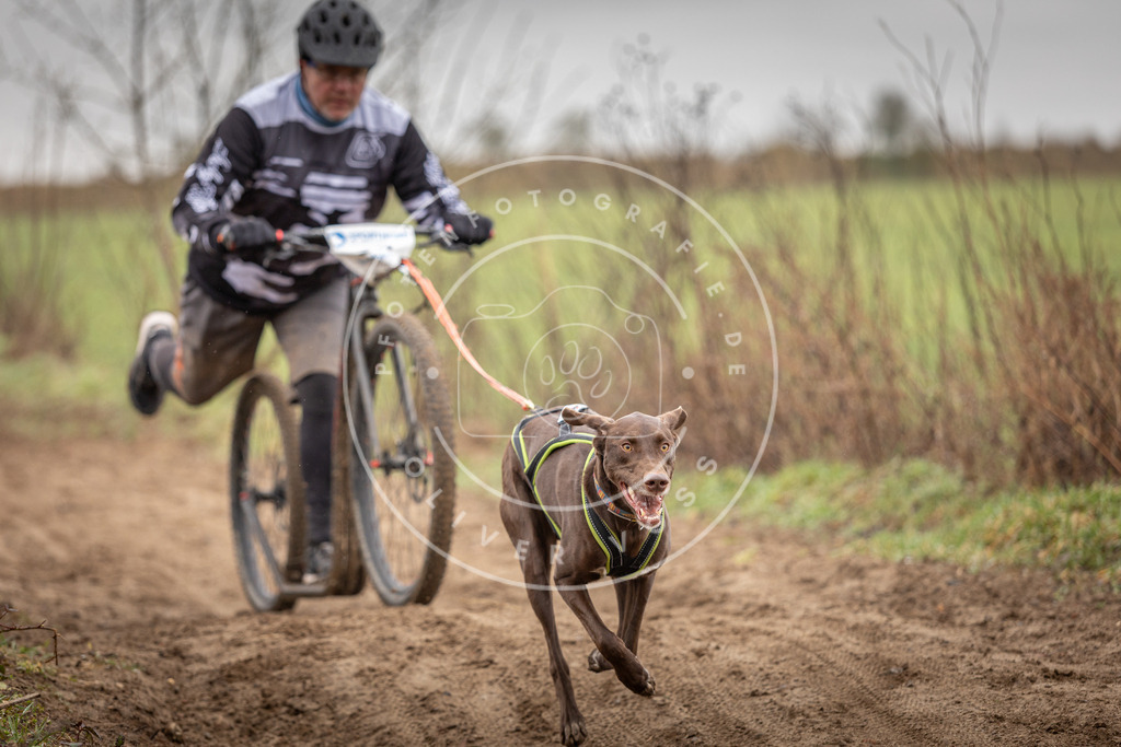 DV3A9278 | Hundefotografie, Tierfotograf, Pfotenfotografie, Fotoshooting Hund, Hunde Portrait, Hundesport, Hundeportraits, Heideshooting, Hunde, Sportfotograf, Hundefotograf, Turnierhundsport, THS,  - Realisiert mit Pictrs.com