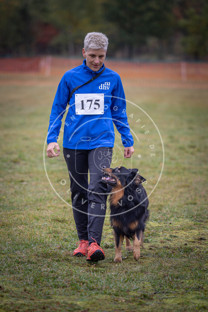 Pfotenfotografie_DV3A9321 | Hundefotografie, Tierfotograf, Pfotenfotografie, Fotoshooting Hund, Hunde Portrait, Hundesport, Hundeportraits, Heideshooting, Hunde, Sportfotograf, Hundefotograf, Turnierhundsport, THS,  - Realisiert mit Pictrs.com
