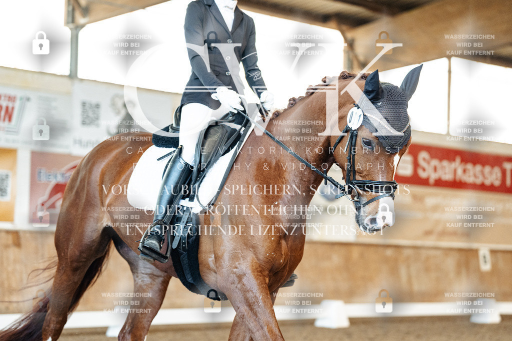 CK909094 | Turnierfotografie Pferdefotografie Trier Rheinland-Pfalz Pferdesport Reitsport Tierfotografie Sportfotografie Pferdevideo Pferdevideografie Equestrianvideography equestrianphotography  - Realized with Pictrs.com