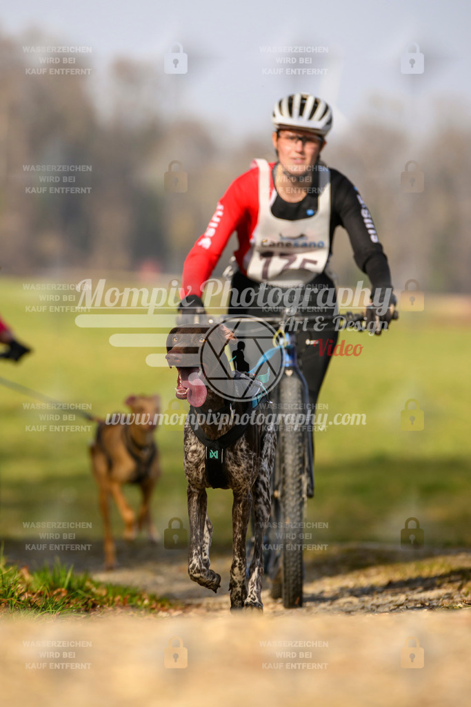MompixPhotography_6ReiatRennen2026_SA_HappyDog-141 | PayLife