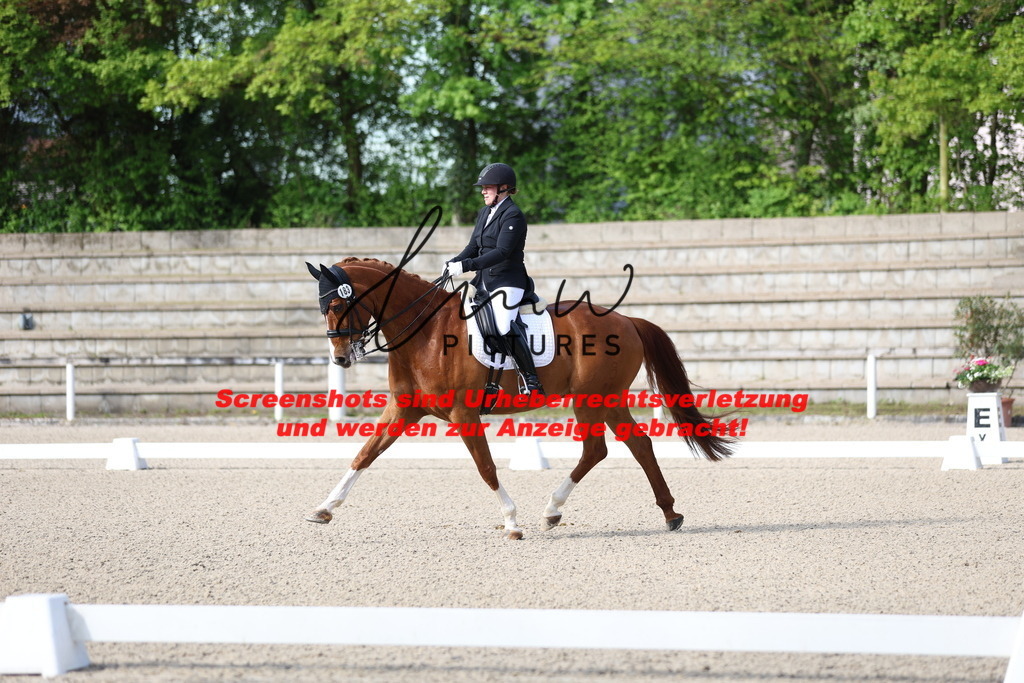 A40A3358 | lmwpictures - Realisiert mit Pictrs.com