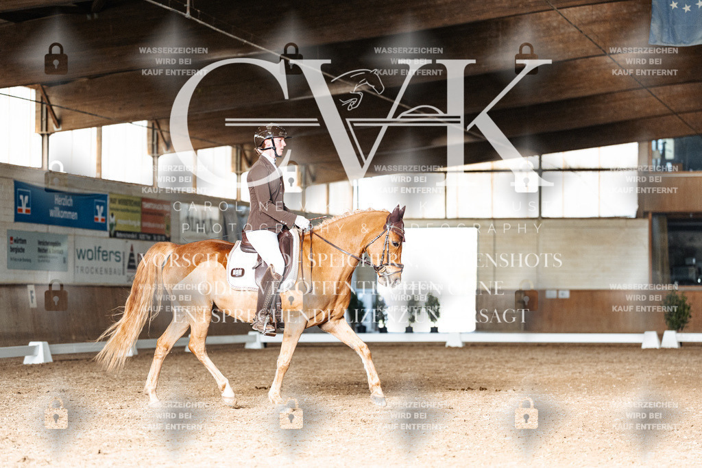 CK902902 | Turnierfotografie Pferdefotografie Trier Rheinland-Pfalz Pferdesport Reitsport Tierfotografie Sportfotografie Pferdevideo Pferdevideografie Equestrianvideography equestrianphotography  - Realisiert mit Pictrs.com