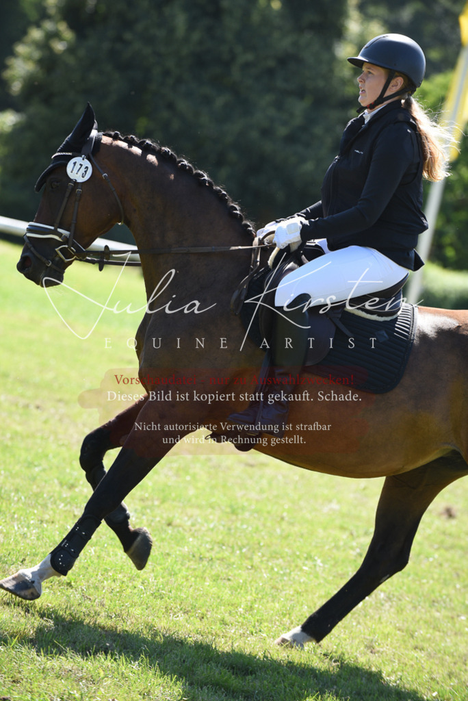 DSC_9414 | Pferde- und Turnierfotografie in Westsachsen. Pferdeportraits, Auftragszeichnungen und intuitive Kunst.