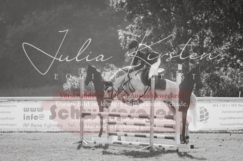 DSC_4435 | Pferde- und Turnierfotografie in Westsachsen. Pferdeportraits, Auftragszeichnungen und intuitive Kunst.