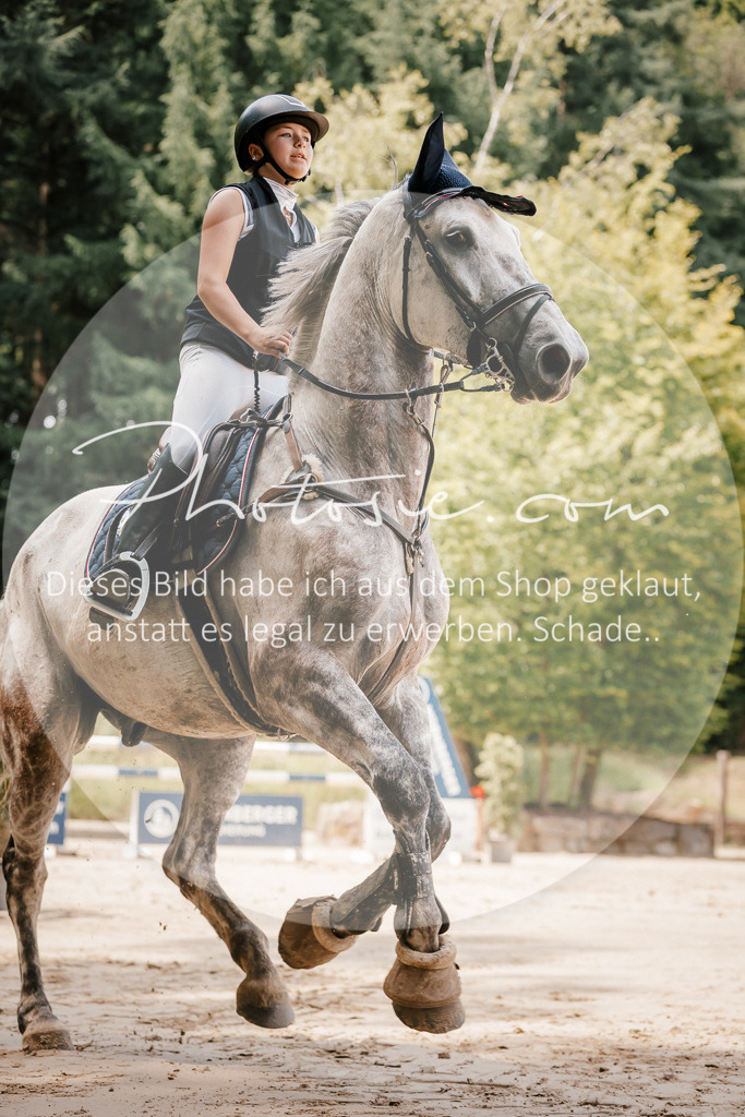 3I6A7873 | Stimmungsvolle Portraits und Reitsportfotografie im Ruhrgebiet und im Münsterland.

Pferdefotografie, Hundefotografie, Tierfotografie, Reportagen, Portraits von Tier und Mensch, Turnierfotografie in Bochum, Recklinghausen, Marl, Haltern am See, Dülmen.. - Realisiert mit Pictrs.com
