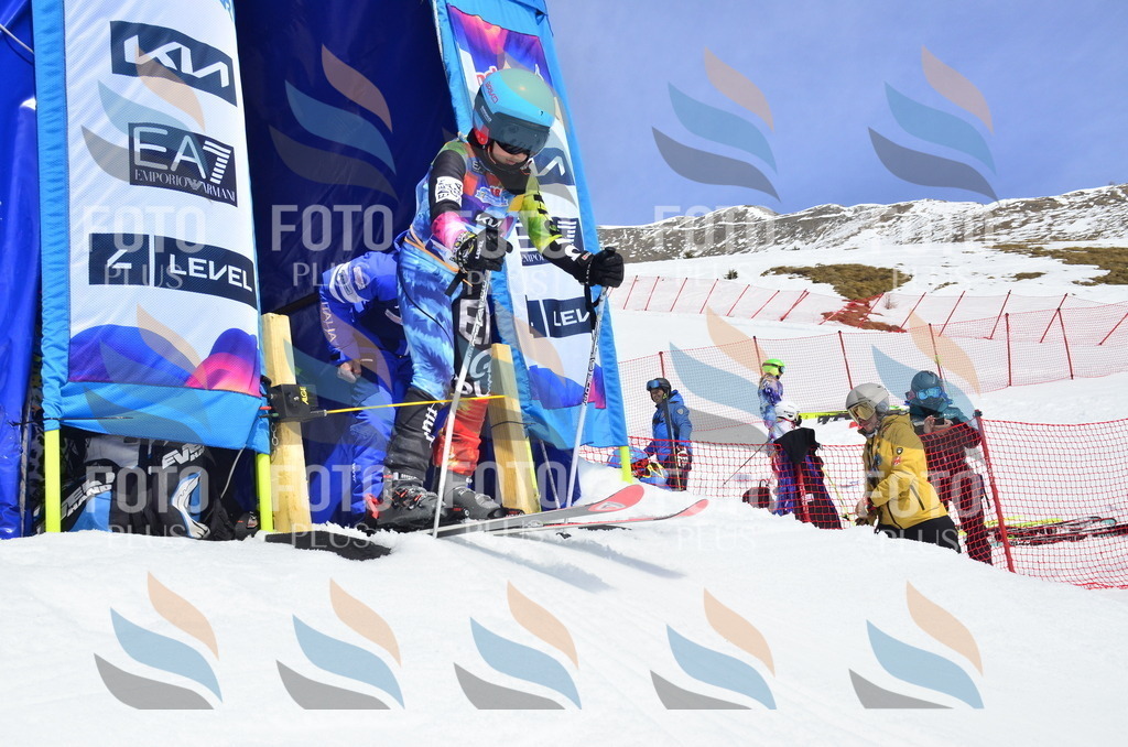 _ELE1752 | holidayphoto