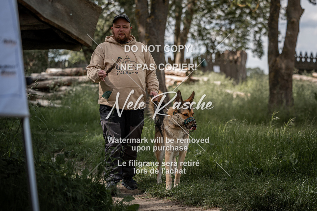 nelerasche_Do-spät_66 | nelerasche