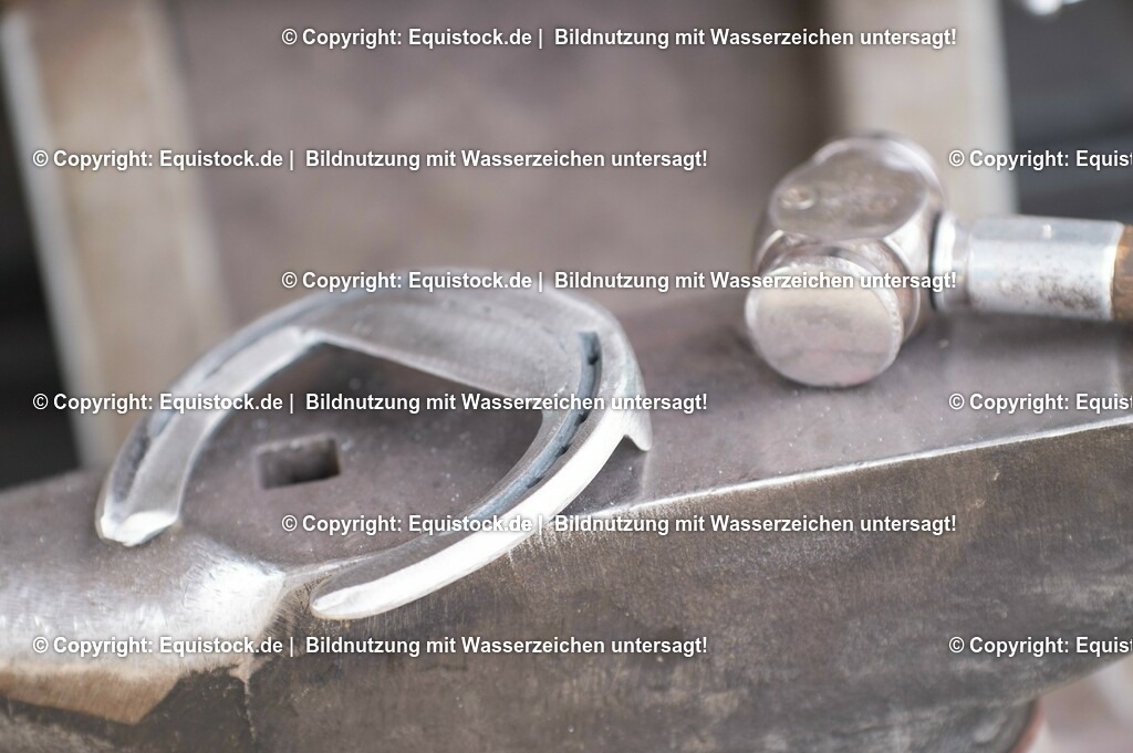 20210429_Spezialbeschlag_0002 | equistock