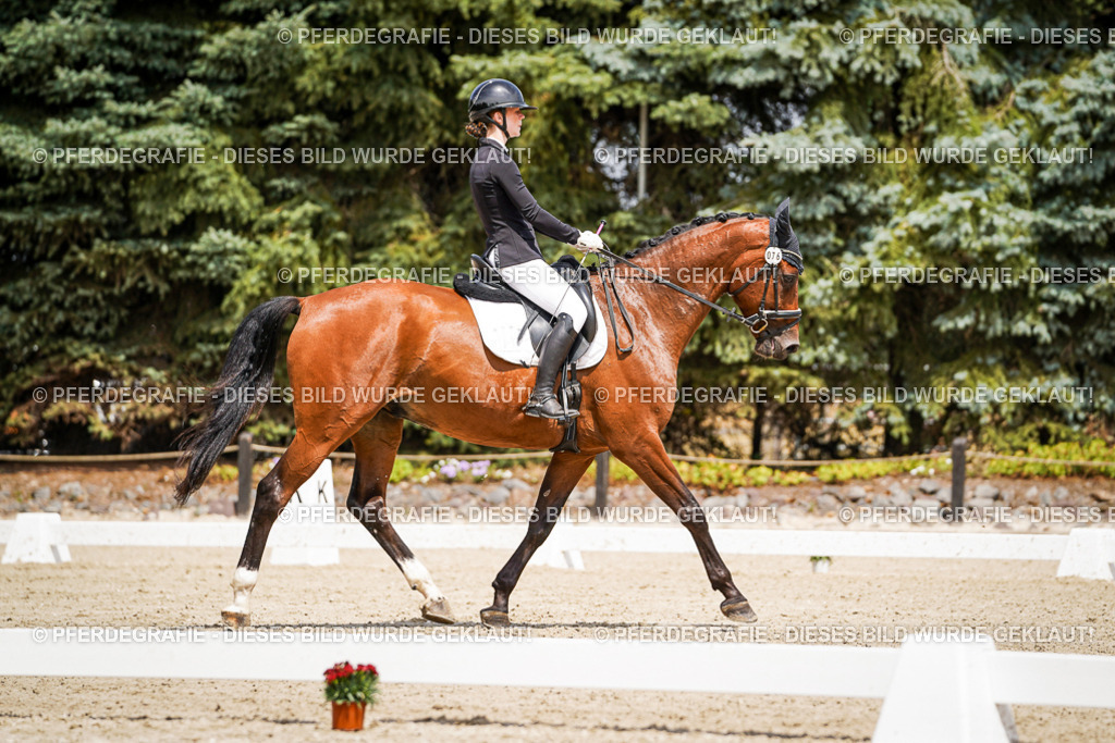 DSC02302 | Pferdegrafie