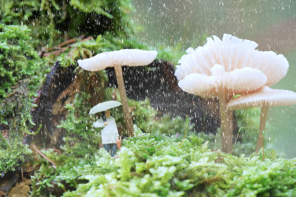 Im_Regen_unter Pilzen | Stockfotos, Fotos mit Miniaturfiguren und kreativen Ideen. Dabei auch vieles aus der Metropolregion Rhein-Neckar. 