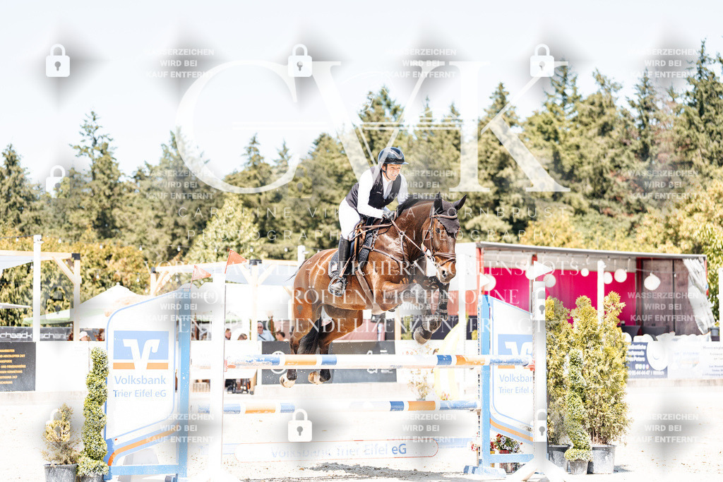CK900489 | Turnierfotografie Pferdefotografie Trier Rheinland-Pfalz Pferdesport Reitsport Tierfotografie Sportfotografie Pferdevideo Pferdevideografie Equestrianvideography equestrianphotography  - Realisiert mit Pictrs.com