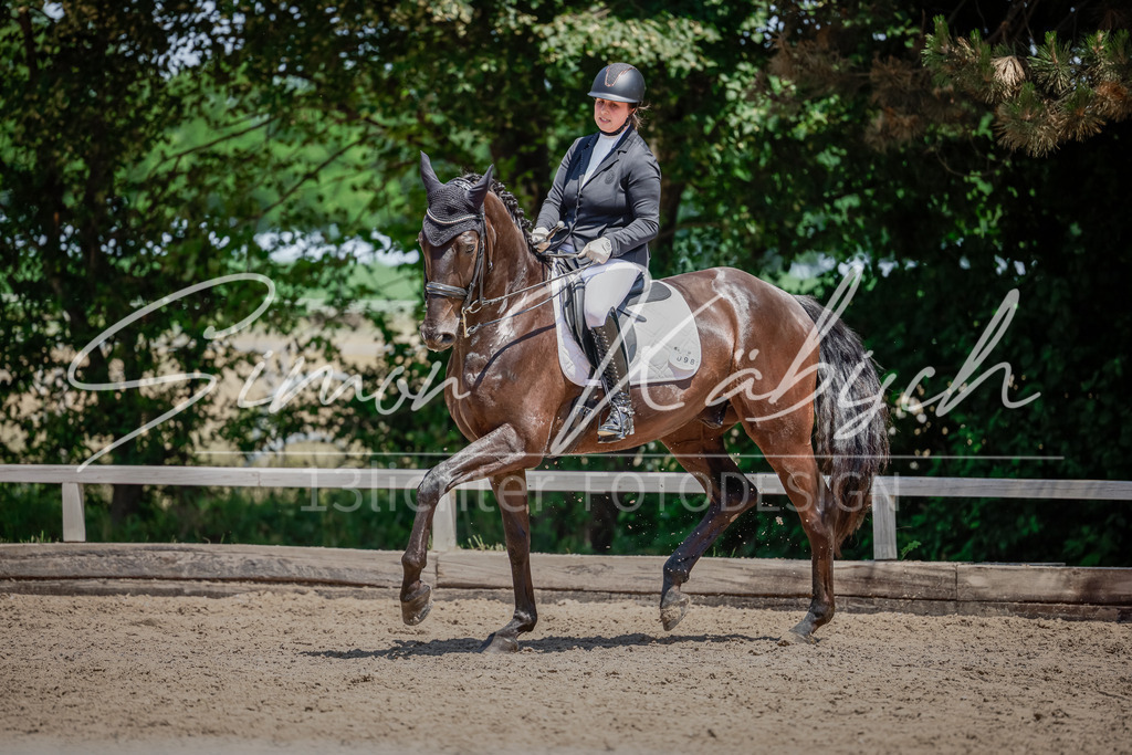 20250621-_3LI7807 | Tierfotografie Pferde, Hunde, Katzen, Haustiere.
Turnierfotografie Reitturniere, Reiten, Springreiten, Dressur in Hanau, dem Main-Kinzig-Kreis und dem Rhein-Main- Gebiet um Frankfurt