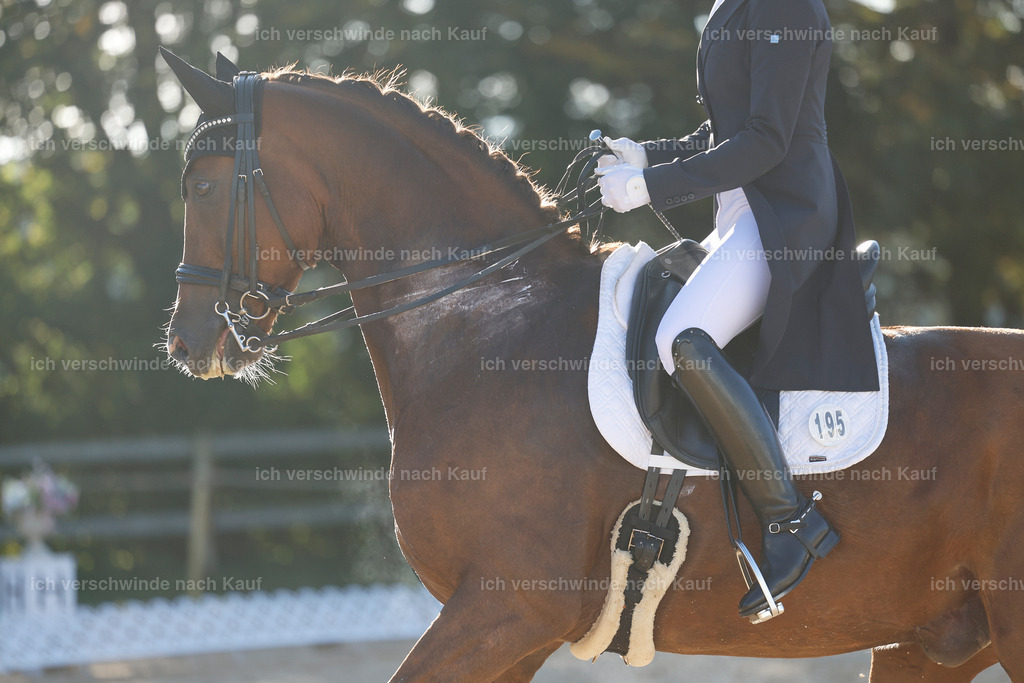 09_1-195-DRESSUR  S_  -StoibPH-5512 | working equitationturnier fotograf videograf stoibphotography marixx film working equitation deutschland reitsport turnierfotografie eventfotografie equestrian events