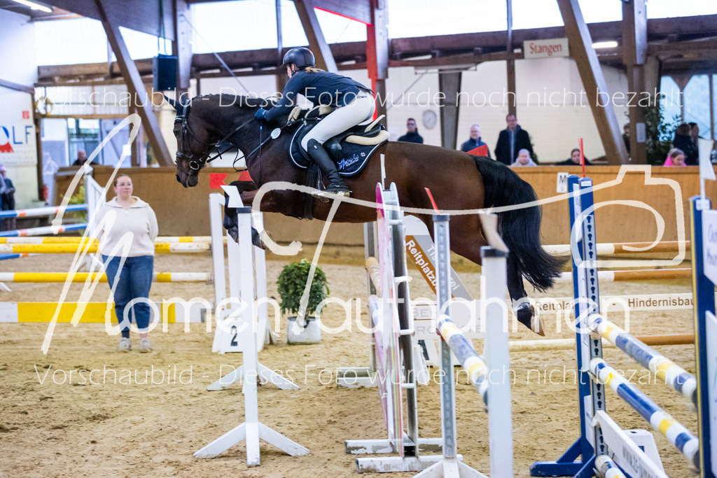 Sth-L-Springen-032 | MomenTaufnahmen Pferdesportfotos