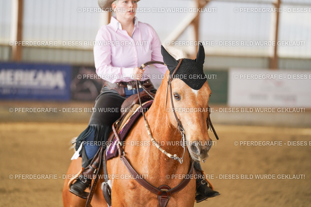 DSC02942 | Pferdegrafie