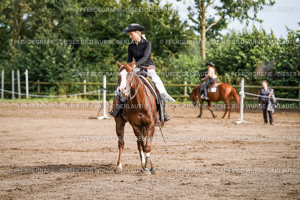 DSC09773 | Pferdegrafie