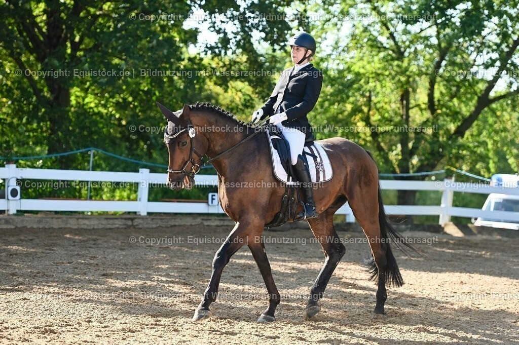 20230715_06_Dressurpferdeprfg. Kl.A_0055 | equistock