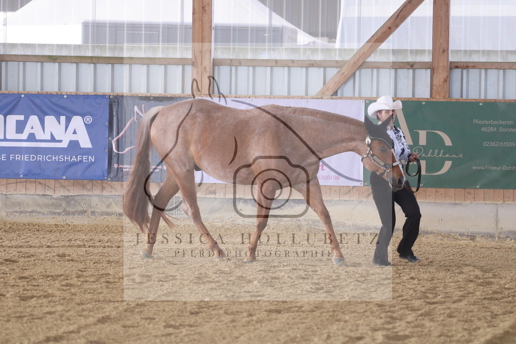 IMG_6903 | jessicahollubetz_pferdephotographie - Realisiert mit Pictrs.com