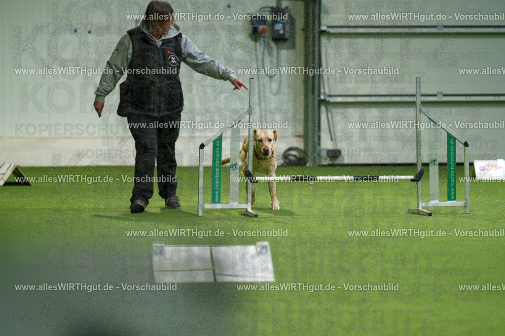 7R504654 | Professionelle Tierfotografie in Mönchengladbach von Daniel Wirth (allesWIRTHgut). Liebevolle & natürliche Bilder von Hunden & Katzen für unvergessliche Erinnerungen.