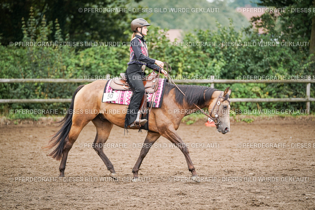 DSC02488 | Pferdegrafie