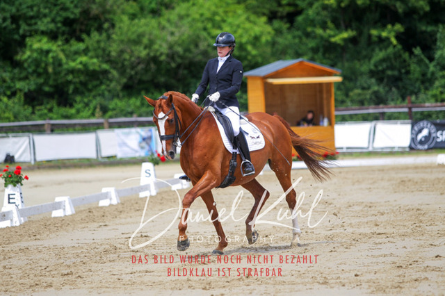 DKP47545 | Turniersportfotografie; Pferdefotografie; Dressurfotografie