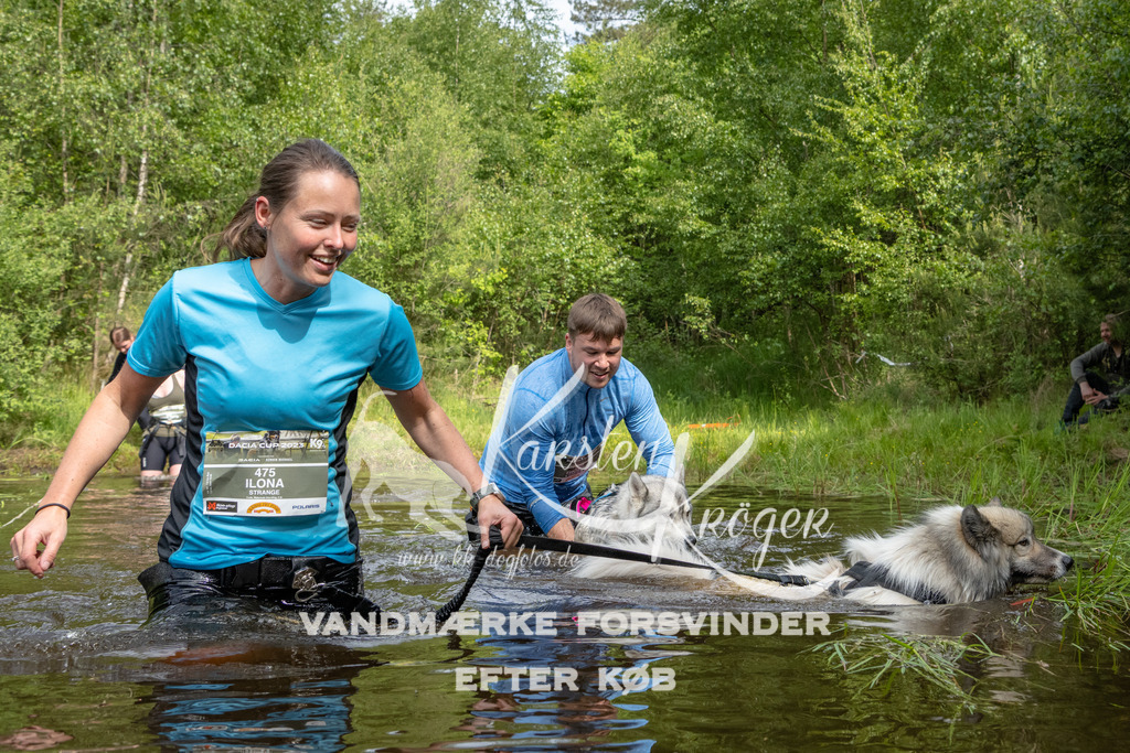 1022DKK991849 | kk-dogfotos