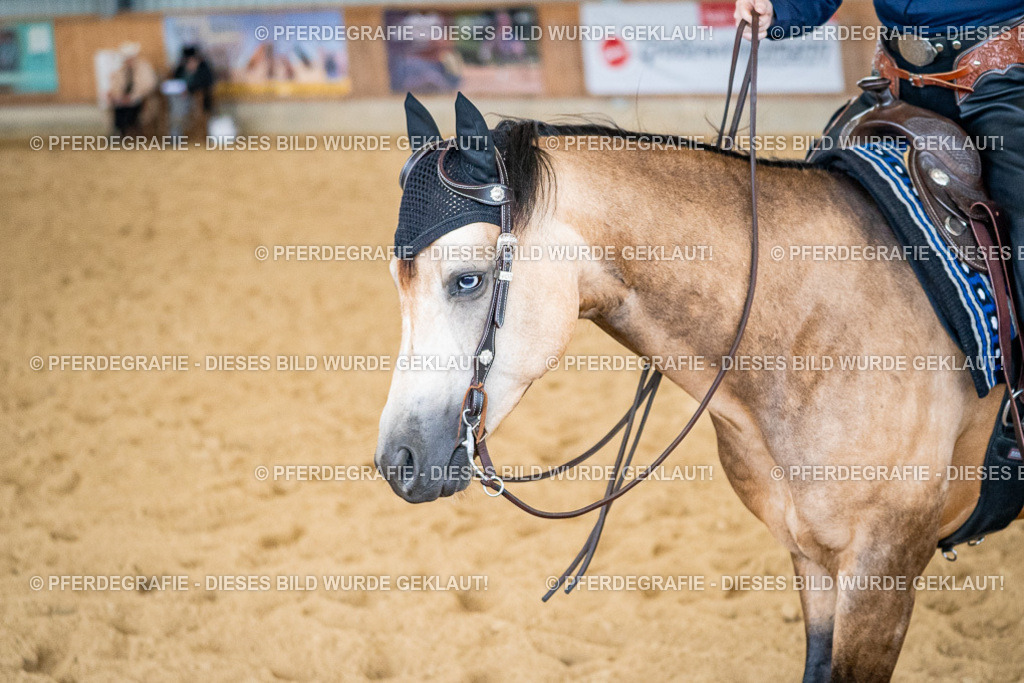 DSC03419 | Pferdegrafie