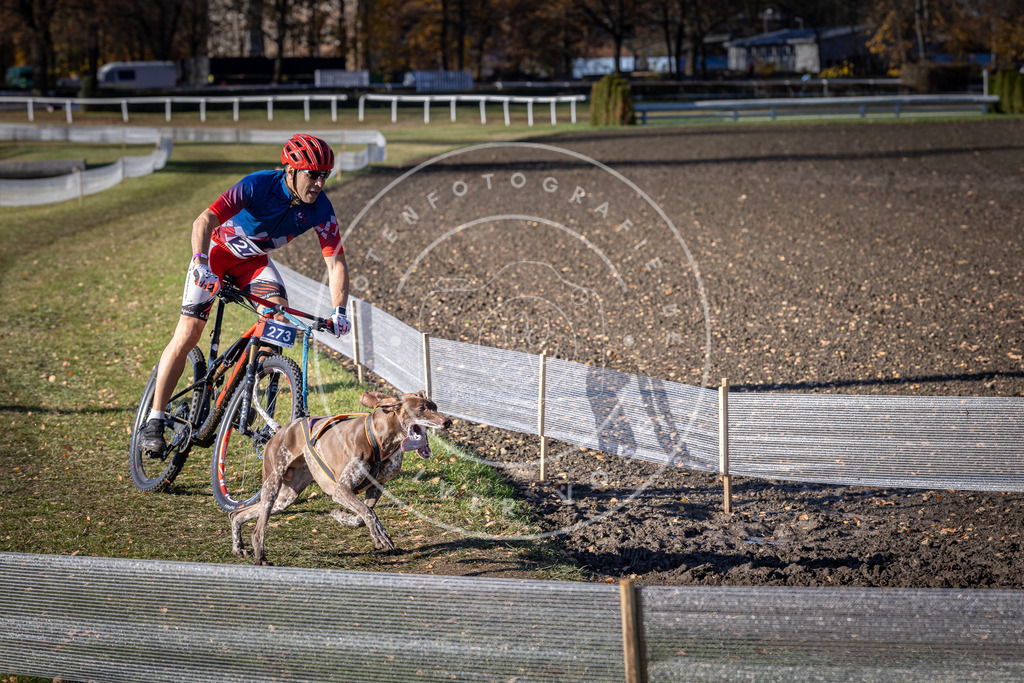 CaniXpix_DV3A5274 | Hundefotografie, Tierfotograf, Pfotenfotografie, Fotoshooting Hund, Hunde Portrait, Hundesport, Hundeportraits, Heideshooting, Hunde, Sportfotograf, Hundefotograf, Turnierhundsport, THS,  - Realisiert mit Pictrs.com
