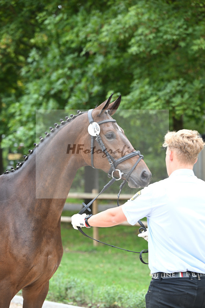 Kat-Nr. 28 Farella_Birkenmayer_49220967 | hf-fotografie - Realizzato con Pictrs.com
