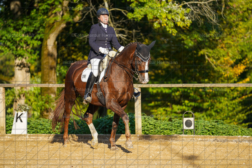 20221007-FAH00363 | Diessen am Ammersee, 2022, Dressur- und Springturnier, Reitsportbilder, Turnierfotografen Bayern, Pferdefotografen, Fotoagentur Herrmann, Turnierbilder
