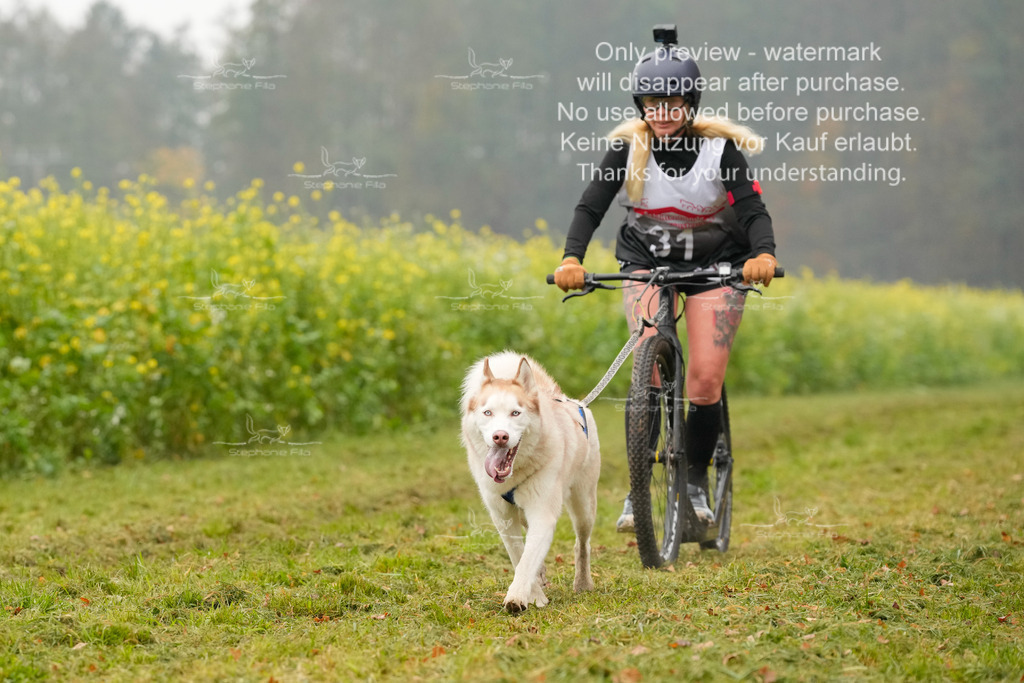 Visbeck_Sa_Scooter_Hc-157 | stephaniefillaphotographie - Realisiert mit Pictrs.com